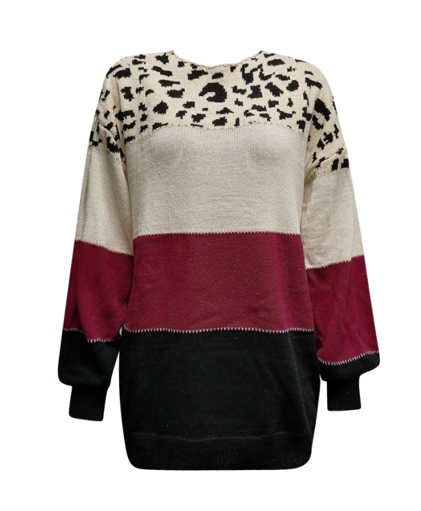 ELS | Gestreiftes Sweatshirt mit Leopardenmuster